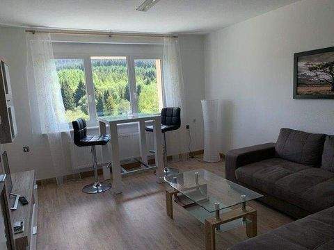 Oberwiesenthal Wohnungen, Oberwiesenthal Wohnung mieten