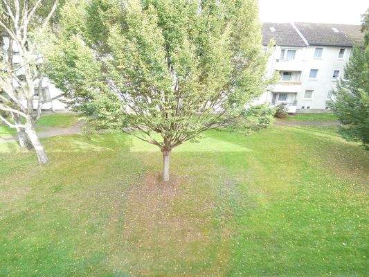 Beispielfoto Umgebung