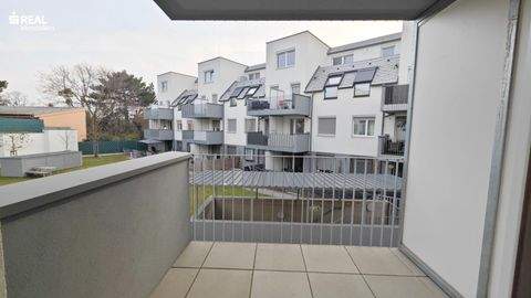 Wien Wohnungen, Wien Wohnung mieten