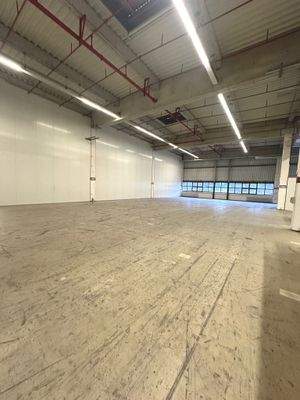 Image 2024-12-19 at 11.47.18.jpeg