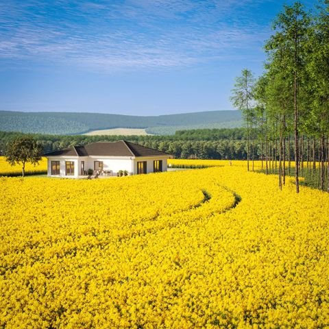 Hainichen Häuser, Hainichen Haus kaufen