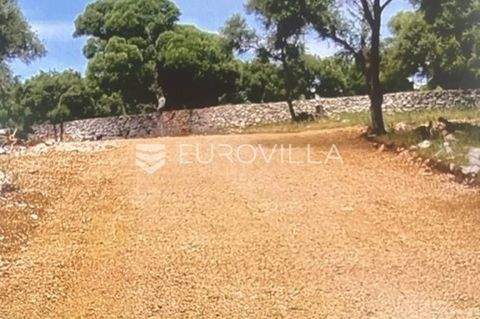 Novalja Bauernhöfe, Landwirtschaft, Novalja Forstwirtschaft