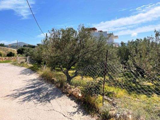 Südostkreta, Makry Gialos: Grundstück mit Meerblick zu verkaufen