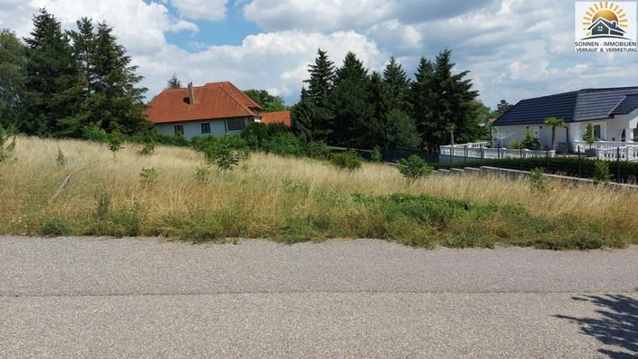 Straßenansicht  des Grundstücks
