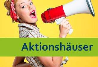 Aktionshäuser