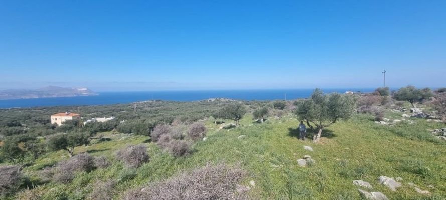 Großes Grundstück mit Meerblick zum Verkauf in Kokkino Chorio