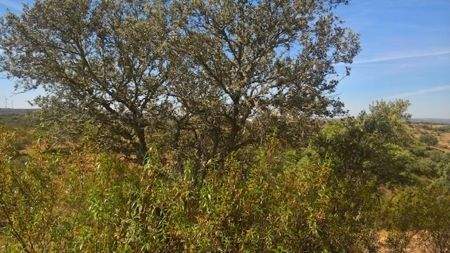 99f5d784-65ed-4a6e-a43d-5173d6ac8fea