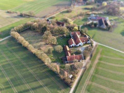 Borgholzhausen Häuser, Borgholzhausen Haus kaufen