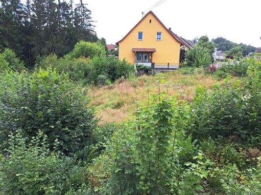 Grundstück Newerweg Bild 4.jpg