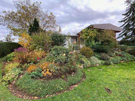 Gartenimpressionen des letzten Jahres (2).JPG