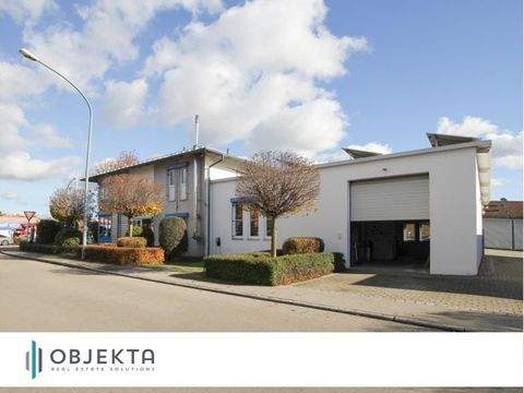 Neu-Ulm Halle, Neu-Ulm Hallenfläche