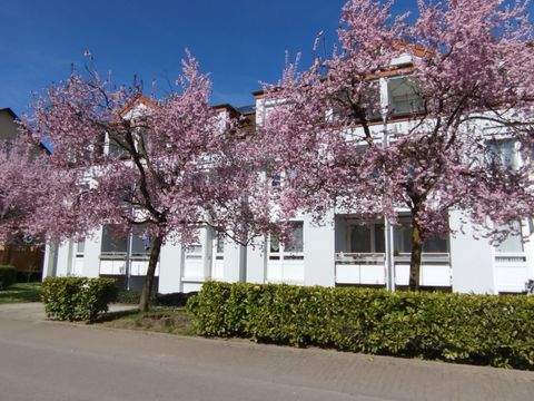 Bad Krozingen Renditeobjekte, Mehrfamilienhäuser, Geschäftshäuser, Kapitalanlage