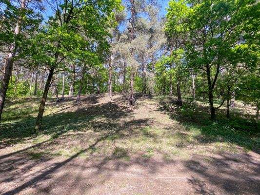 Blick in die Püttberge vom Grundstück