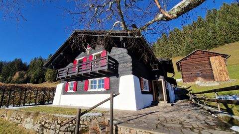 Silbertal Häuser, Silbertal Haus kaufen