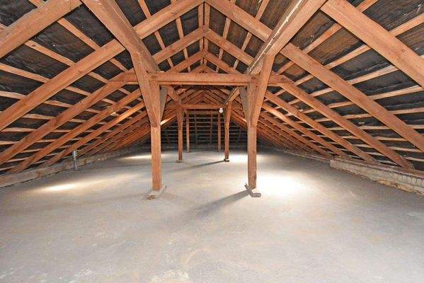 … mit viel Potential