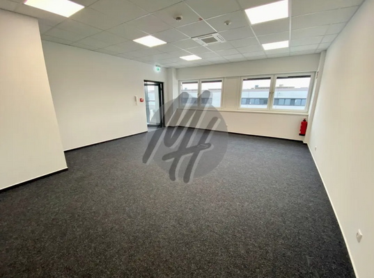 INFOS UNTER: 06171-586000