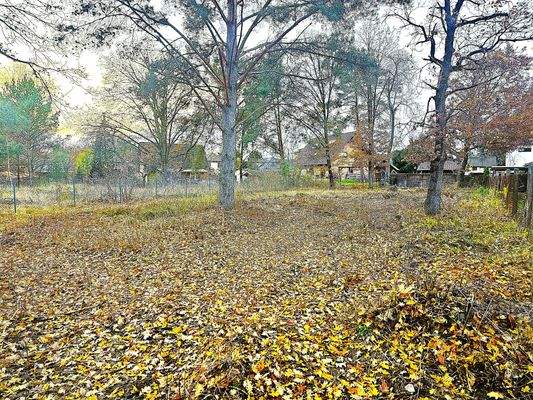 Grundstücksansicht von der Straße aus