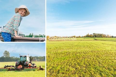 Aachen Bauernhöfe, Landwirtschaft, Aachen Forstwirtschaft