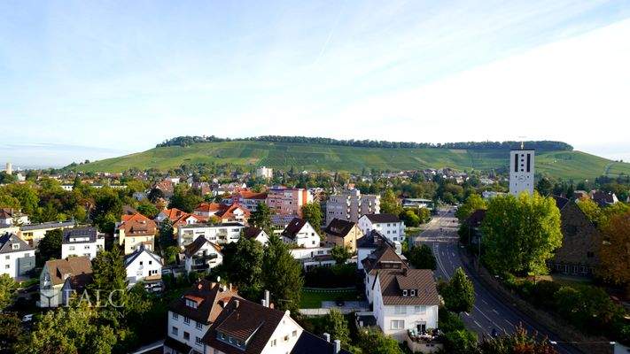 Wartbergblick inklusive