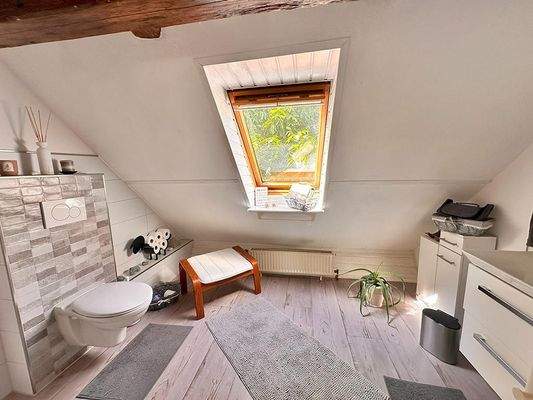 25 makellos EFH Schorrentin.JPG