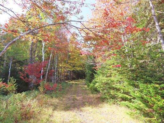 Nova Scotia - West Side Country Harbour - 52-Hekta