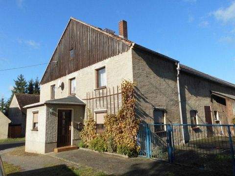 Falkenhain / Voigtshain Häuser, Falkenhain / Voigtshain Haus kaufen