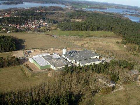 Krakow Halle, Krakow Hallenfläche