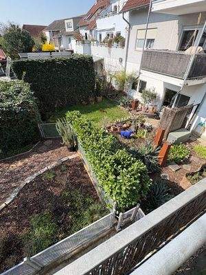 viele Grün im Gartenbereich