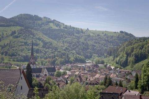 Schönau im Schwarzwald Wohnungen, Schönau im Schwarzwald Wohnung kaufen