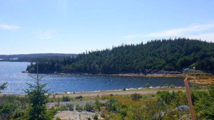 Teilblick von der mittleren "Geländeterrasse"