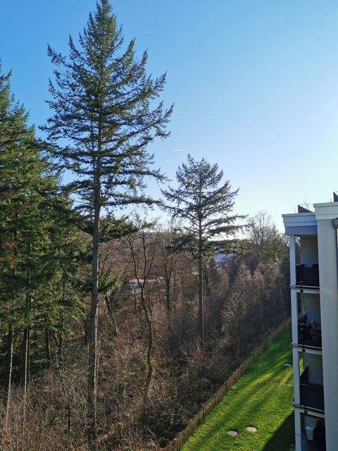 Prüm Wohnungen, Prüm Wohnung mieten