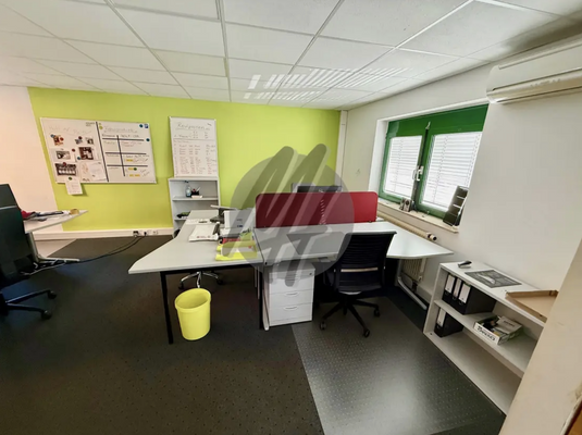 INFOS UNTER: 06171-586000