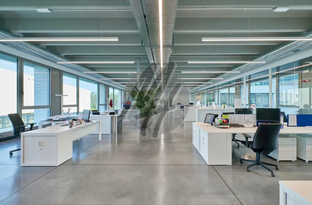 INFOS UNTER: 06171-586000