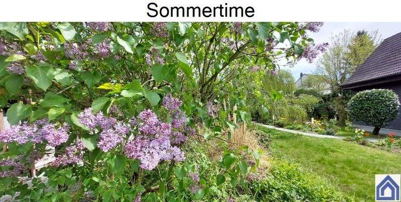 Sommertime im Vorgarten