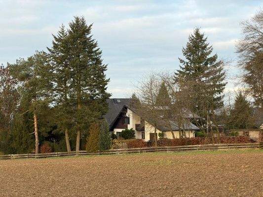 Haus in gefühlter Alleinlage