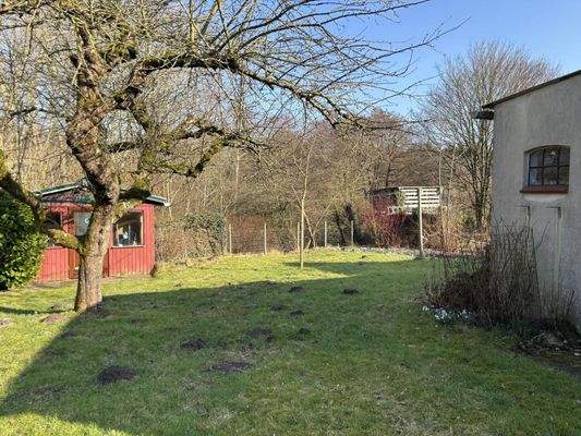 Blick auf das hintere Grundstück