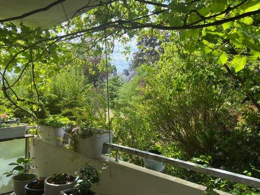 Ausblick Balkon .jpg