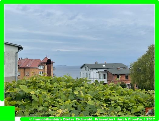 Blick