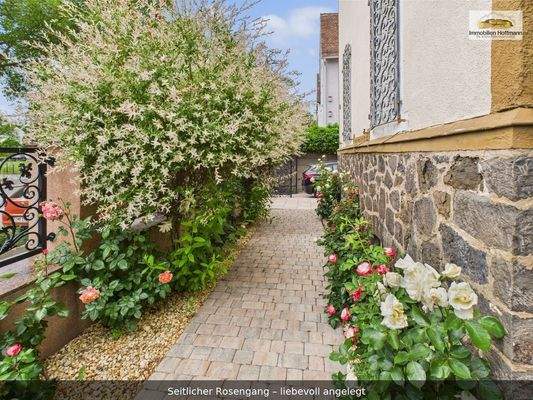 16_Seitlicher_Rosengang_liebevoll_angelegt