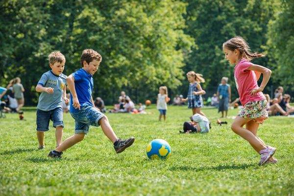 Englischer Garten KI Bild