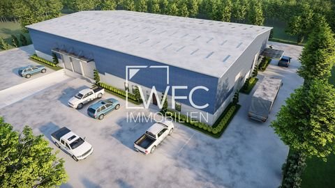 Allersberg Halle, Allersberg Hallenfläche