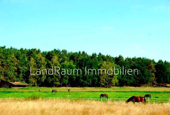 HCD Expose - Watermarks-23 b.jpg