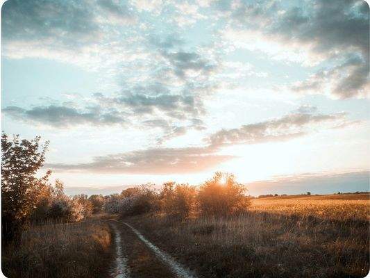 Wir brauchen frische Luft
