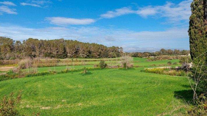 Rustikales Grundstück zum Verkauf in Muro, Mallorca