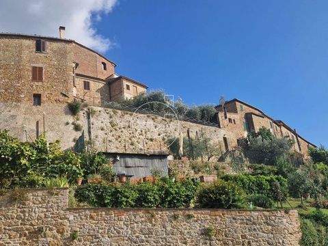 Montalcino Häuser, Montalcino Haus kaufen