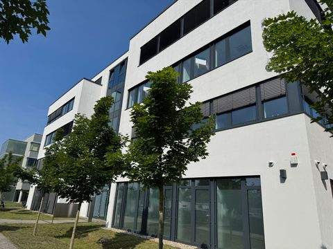 Berlin Halle, Berlin Hallenfläche