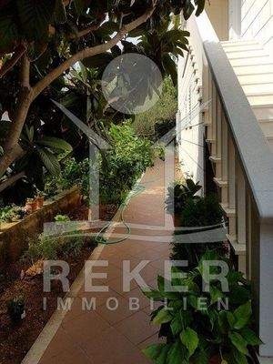 Das Grundstück der Villa beherbergt viele schöne mediterrane Obstbäume und Pflanzen.