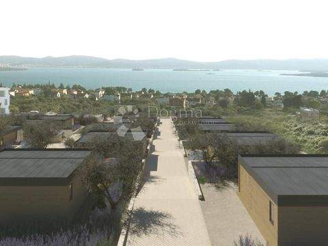 Sveti Filip i Jakov Bauernhöfe, Landwirtschaft, Sveti Filip i Jakov Forstwirtschaft