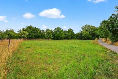 Stutensee / Blankenloch Bauernhöfe, Landwirtschaft, Stutensee / Blankenloch Forstwirtschaft