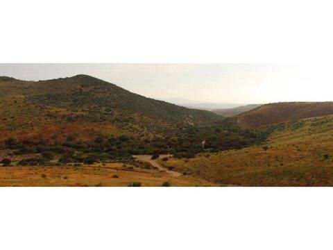 Ovalle Büros, Büroräume, Büroflächen 